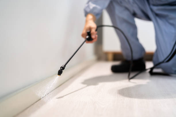 Licensed Cockroach Control service in Okawville, IL - Nex Pest Control