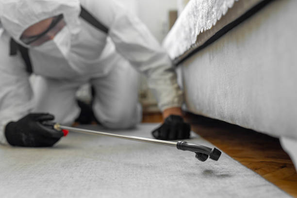 Professional Cockroach Control technician working in Okawville, IL
