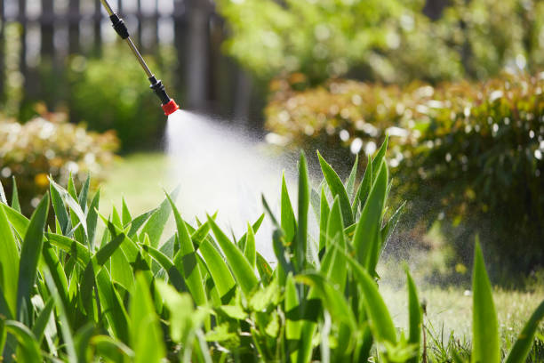 24/7 Emergency Cockroach Control experts in Okawville, IL