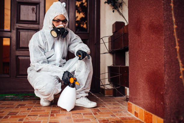 Reliable Cockroach Control contractor in Okawville, IL by Nex Pest Control